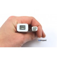 Adaptateur Thunderbolt vers Firewire