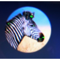 ensemble écran neuf macbook pro 13" unibody A1278 2011